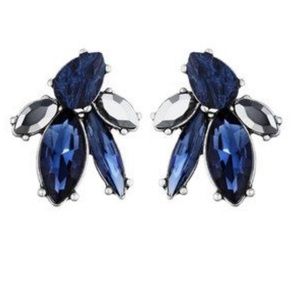 Northern Mist Statement Stud Earrings